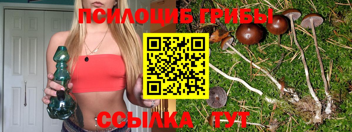 Псилоцибиновые грибы прущие грибы  Вход с VPN  Ачхой-Мартан 