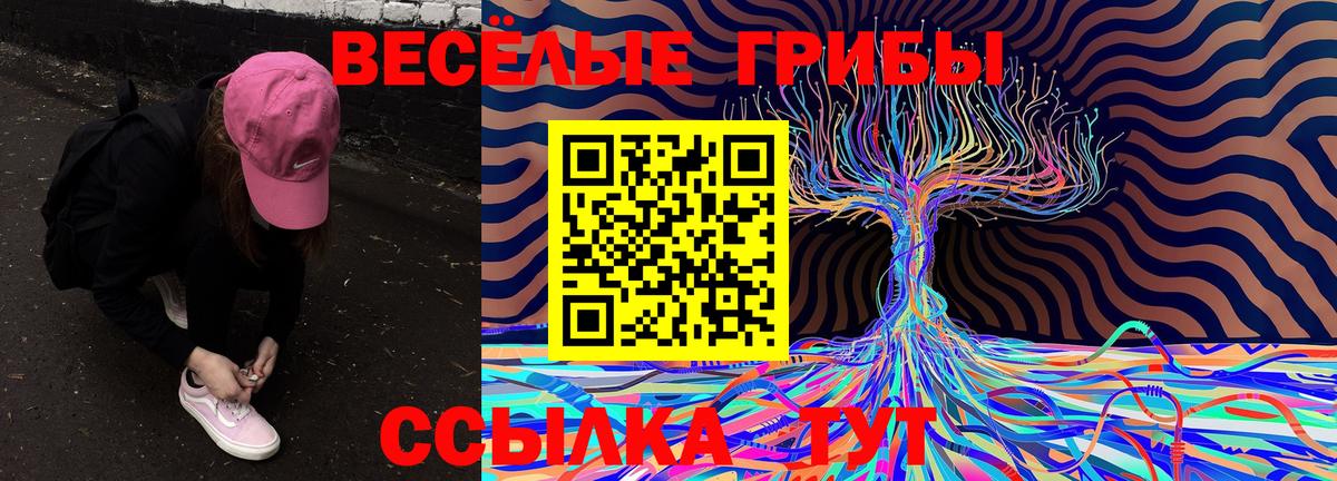 Псилоцибиновые грибы Magic Shrooms Ачхой-Мартан